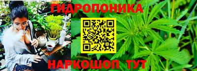 прущие крисы Лесосибирск
