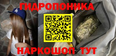 прущие крисы Лесосибирск