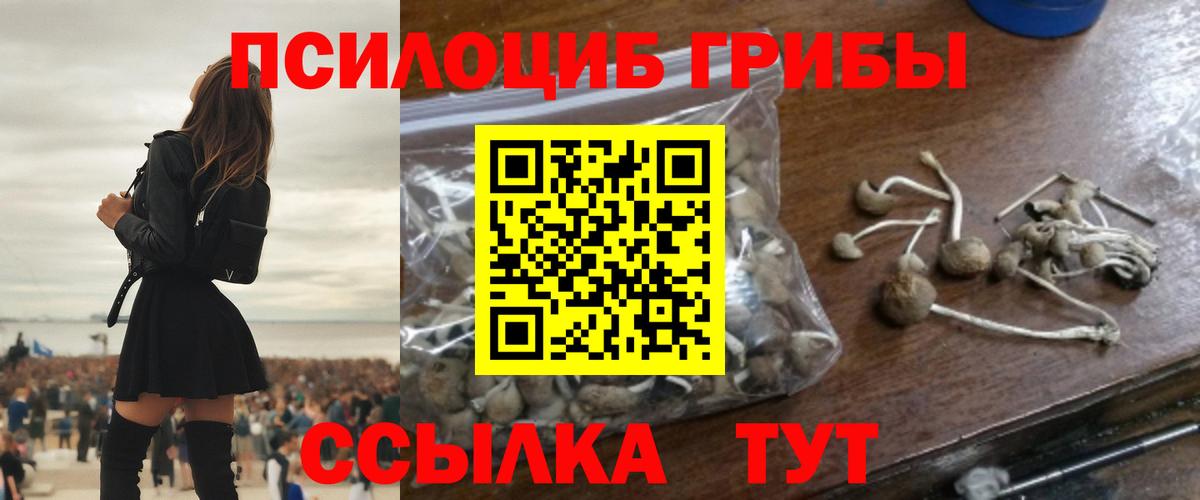 магазин  наркотиков  Псилоцибиновые грибы GOLDEN TEACHER  Вход с VPN  Галлюциногенные грибы Psilocybe  Энгельс 